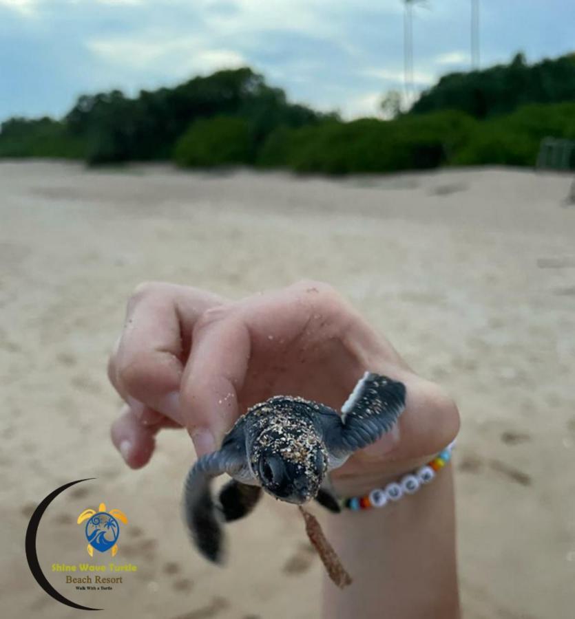Shine Wave Turtle Beach Tangalle Zewnętrze zdjęcie