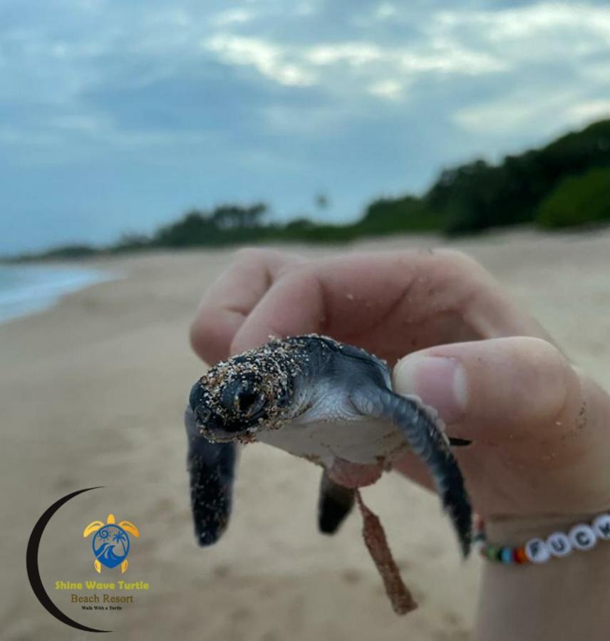 Shine Wave Turtle Beach Tangalle Zewnętrze zdjęcie
