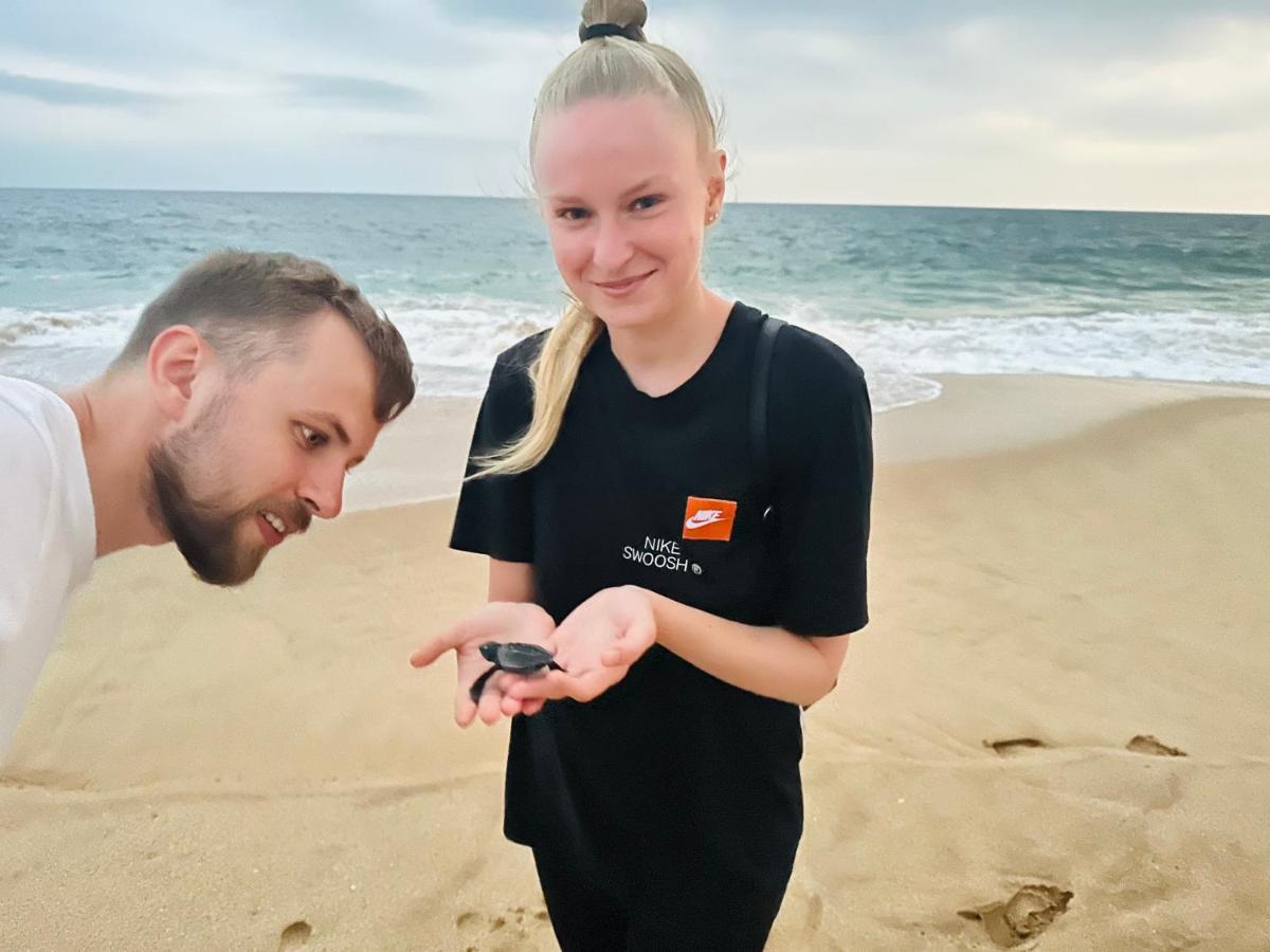 Shine Wave Turtle Beach Tangalle Zewnętrze zdjęcie