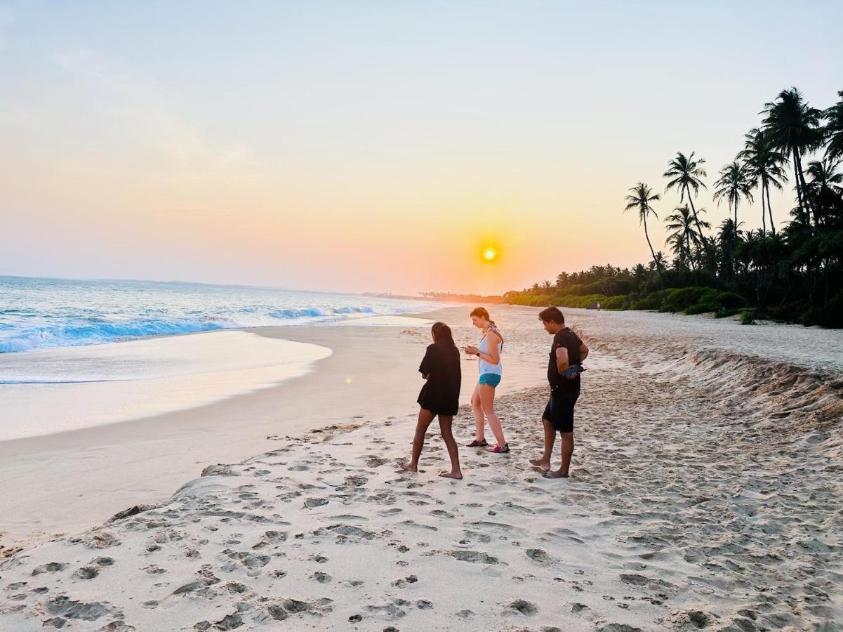 Shine Wave Turtle Beach Tangalle Zewnętrze zdjęcie