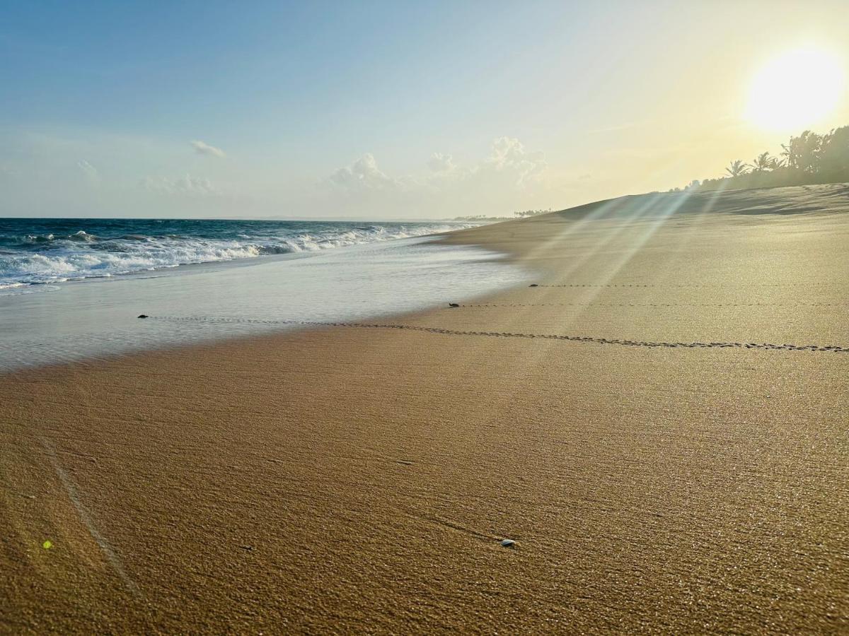 Shine Wave Turtle Beach Tangalle Zewnętrze zdjęcie