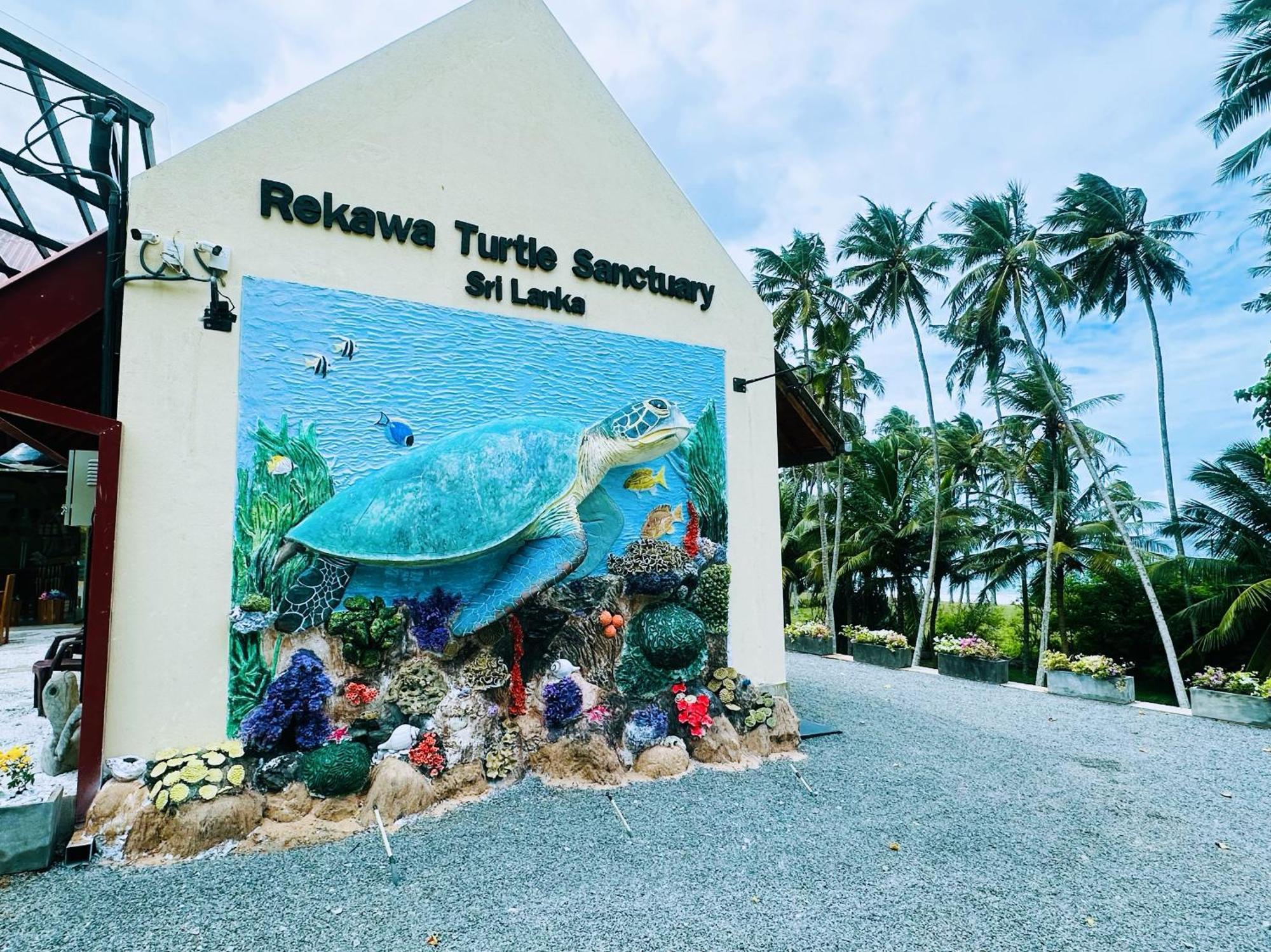 Shine Wave Turtle Beach Tangalle Zewnętrze zdjęcie